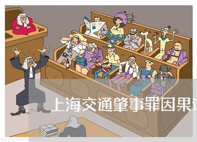 上海交通肇事罪因果认定/2023022707847 上海交通肇事罪因果认定/2023022707847