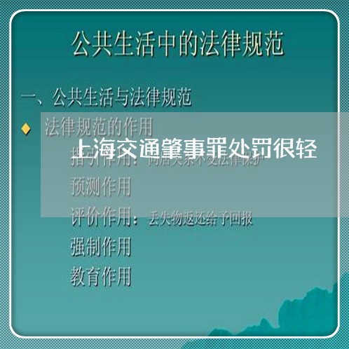 上海交通肇事罪处罚很轻/2023042159489