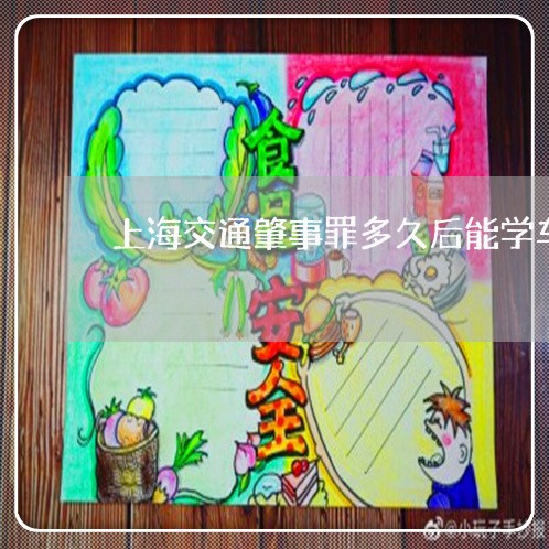 上海交通肇事罪多久后能学车/2023033130260