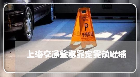 上海交通肇事罪定罪前批捕/2023031771572 上海交通肇事罪定罪前批捕/2023031771572