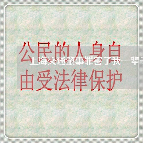 上海交通肇事罪害了我一辈子/2023033188381