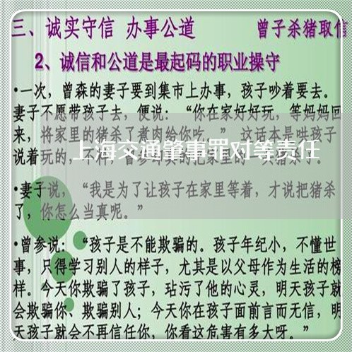 上海交通肇事罪对等责任/2023022728269
