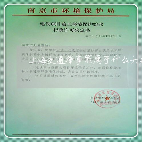 上海交通肇事罪属于什么大类/2023033151716