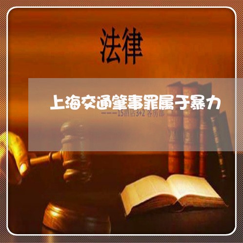 上海交通肇事罪属于暴力/2023022720269