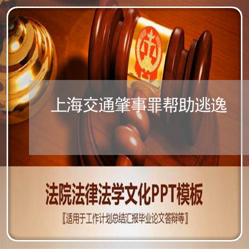 上海交通肇事罪帮助逃逸/2023022704847