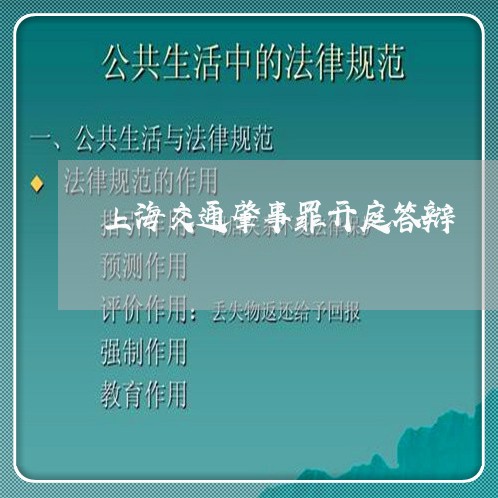 上海交通肇事罪开庭答辩/2023022749260 上海交通肇事罪开庭答辩/2023022749260