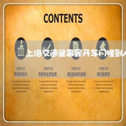 上海交通肇事罪开车门撞到人/2023033149371 上海交通肇事罪开车门撞到人/2023033149371