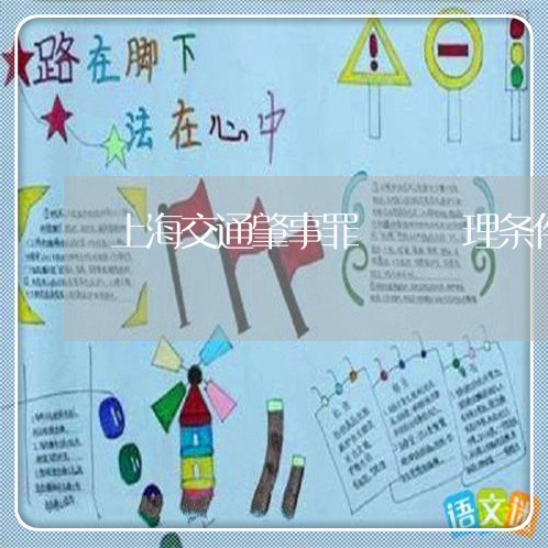上海交通肇事罪從輕處理条件/2023033185259 上海交通肇事罪從輕處理条件/2023033185259