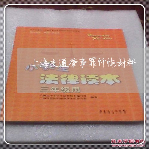 上海交通肇事罪忏悔材料/2023042137362