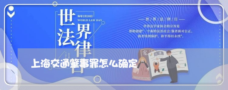 上海交通肇事罪怎么确定/2023022751492