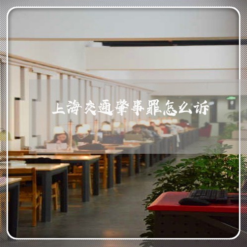 上海交通肇事罪怎么诉/2023021284727
