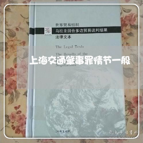 上海交通肇事罪情节一般/2023042155726