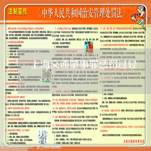 上海交通肇事罪惩罚过轻/2023022759360 上海交通肇事罪惩罚过轻/2023022759360