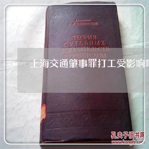 上海交通肇事罪打工受影响吗/2023033193838