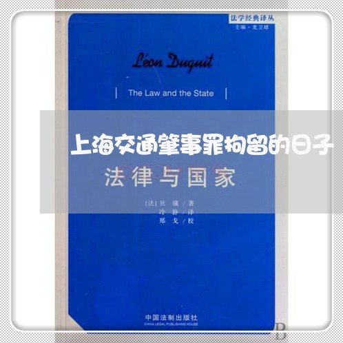 上海交通肇事罪拘留的日子/2023031704716 上海交通肇事罪拘留的日子/2023031704716