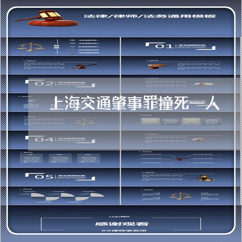 上海交通肇事罪撞死一人/2023022794835 上海交通肇事罪撞死一人/2023022794835