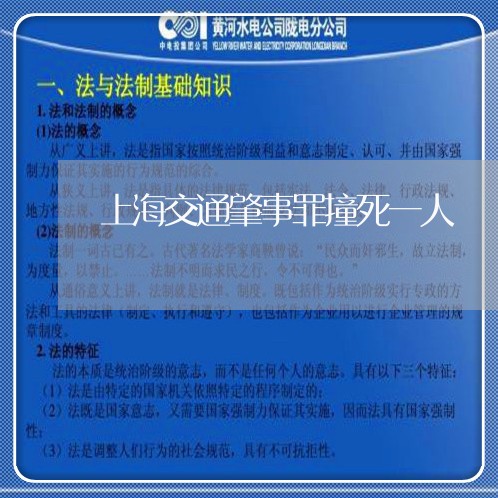 上海交通肇事罪撞死一人/2023042126267