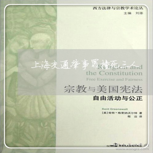 上海交通肇事罪撞死三人/2023042117261