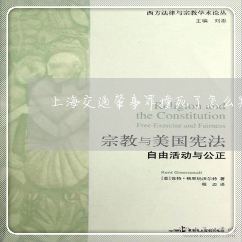 上海交通肇事罪撞死了怎么判/2023033108262