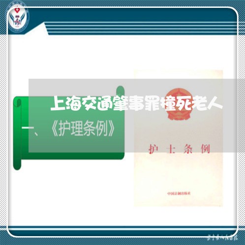 上海交通肇事罪撞死老人/2023042141705