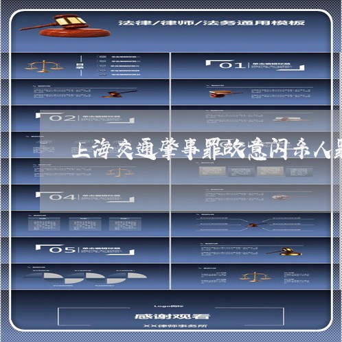 上海交通肇事罪故意闪杀人罪/2023033146394