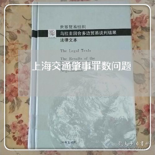 上海交通肇事罪数问题/2023021235261 上海交通肇事罪数问题/2023021235261