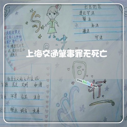 上海交通肇事罪无死亡/2023021202825 上海交通肇事罪无死亡/2023021202825