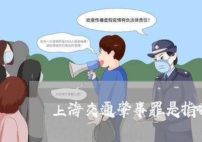 上海交通肇事罪是指哪些/2023042179583