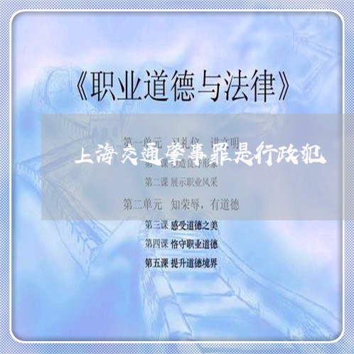 上海交通肇事罪是行政犯/2023042183704