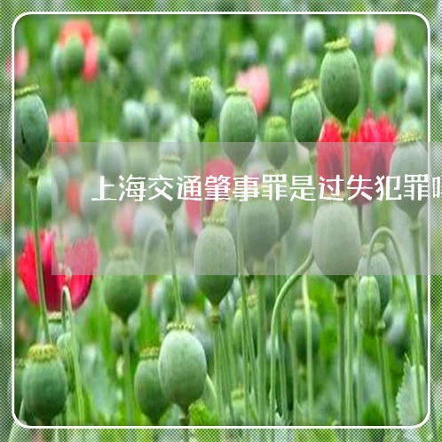 上海交通肇事罪是过失犯罪吗/2023033115037