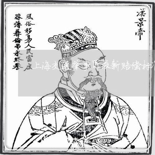 上海交通肇事罪最新赔偿标准/2023033151826