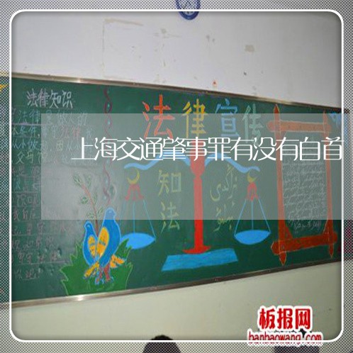 上海交通肇事罪有没有自首/2023031728160 上海交通肇事罪有没有自首/2023031728160