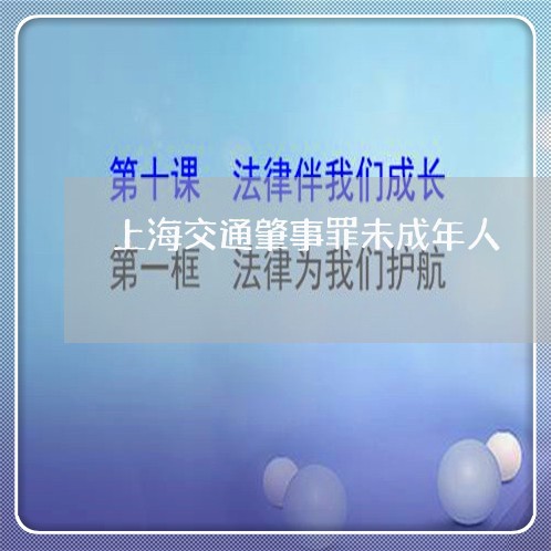 上海交通肇事罪未成年人/2023042125847