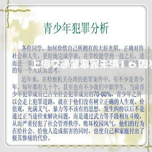 上海交通肇事罪未满16周岁/2023033041482 上海交通肇事罪未满16周岁/2023033041482