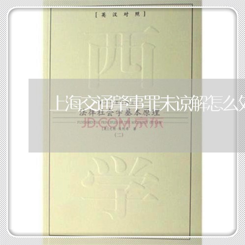 上海交通肇事罪未谅解怎么处理/2023060427259 上海交通肇事罪未谅解怎么处理/2023060427259