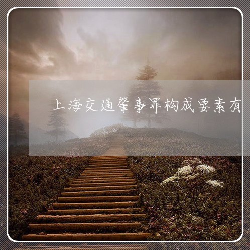 上海交通肇事罪构成要素有/2023033099480 上海交通肇事罪构成要素有/2023033099480