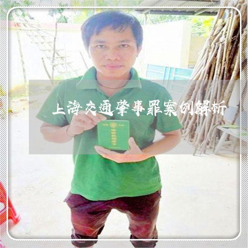 上海交通肇事罪案例解析/2023022708362 上海交通肇事罪案例解析/2023022708362