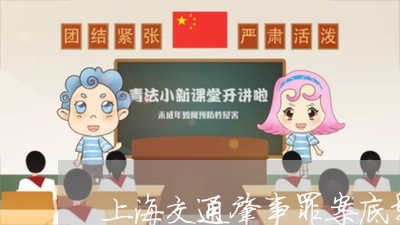 上海交通肇事罪案底影响后代吗/2023060418481