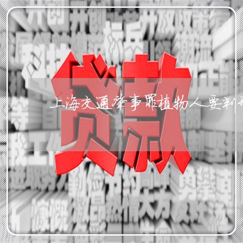 上海交通肇事罪植物人要判刑吗/2023060448380