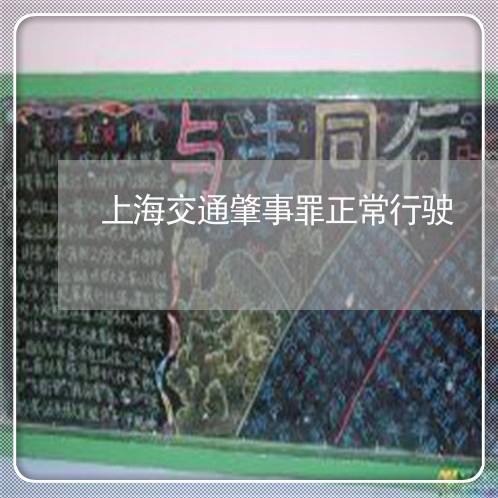 上海交通肇事罪正常行驶/2023022731461 上海交通肇事罪正常行驶/2023022731461