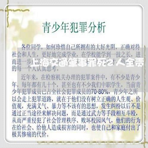 上海交通肇事罪死2人全责/2023031705949 上海交通肇事罪死2人全责/2023031705949