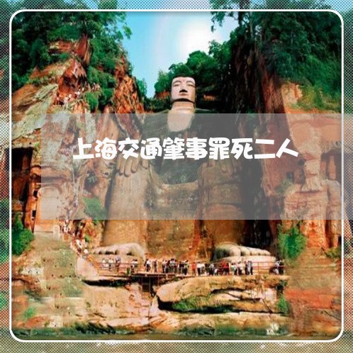 上海交通肇事罪死二人/2023021182572