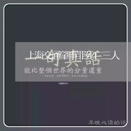 上海交通肇事罪死亡三人/2023042169591