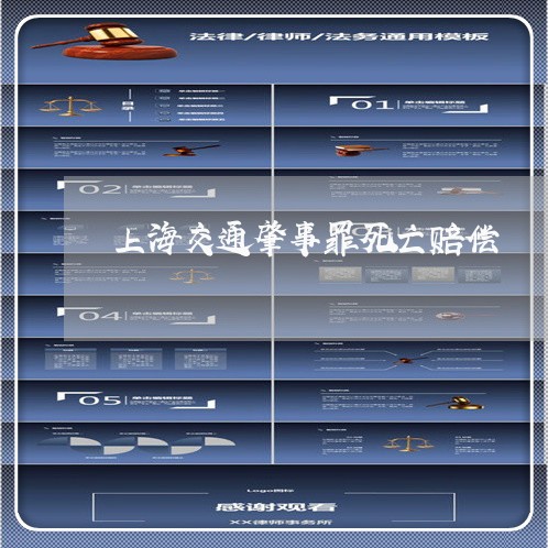 上海交通肇事罪死亡赔偿/2023022742626