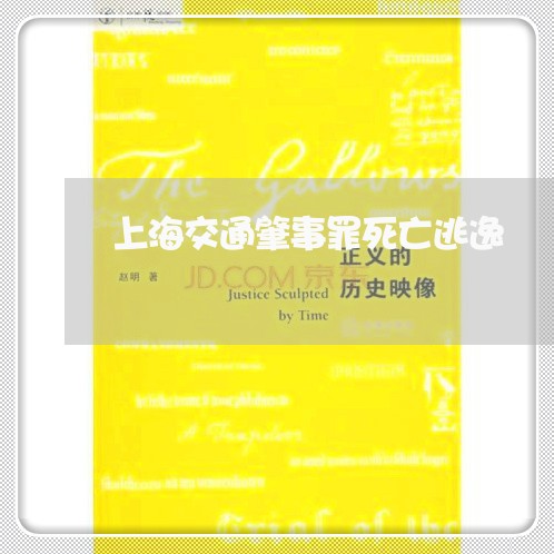 上海交通肇事罪死亡逃逸/2023042172705