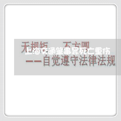 上海交通肇事罪死亡重伤/2023022738267