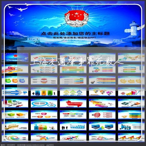 上海交通肇事罪死数人/2023021138389 上海交通肇事罪死数人/2023021138389