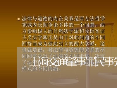上海交通肇事罪民事先判决/2023031759479