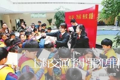 上海交通肇事罪犯罪情节较轻/2023033052615
