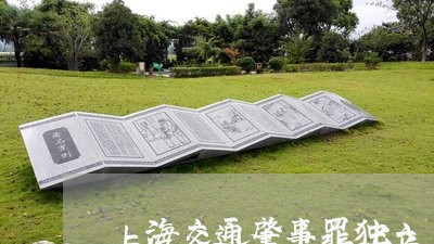 上海交通肇事罪独立/2023032842683